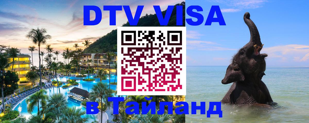 Оформление DTV визы под ключ: стоимость и тарифы, только загранпаспорт - 06.12.2025 